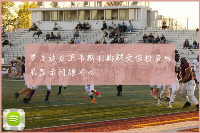 罗马边后卫韦斯利脚踝受伤检查结果显示问题不大