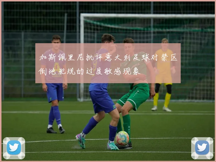 加斯佩里尼批评意大利足球对禁区倒地犯规的过度敏感现象