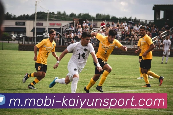 App Interface Preview