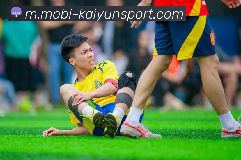 开云体育APP 封面图